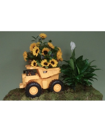 DUMP TRUCK TRIBUTE